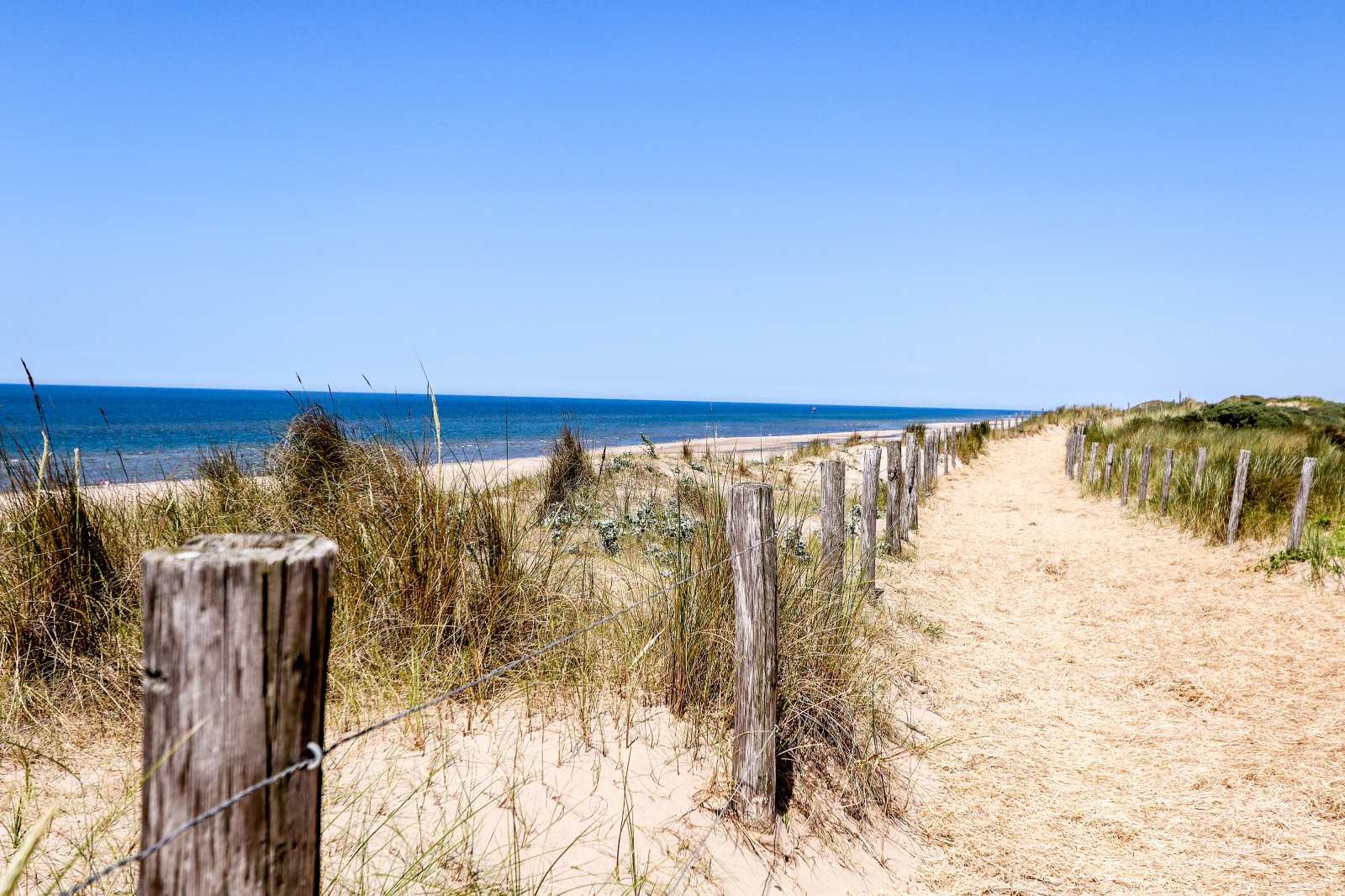 Duinstrand_Egmond.jpg